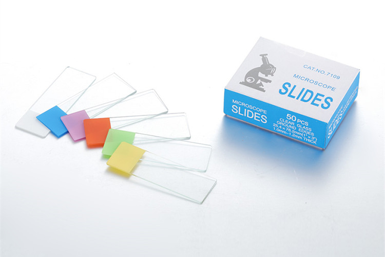 Color Frosted Microscope Slides