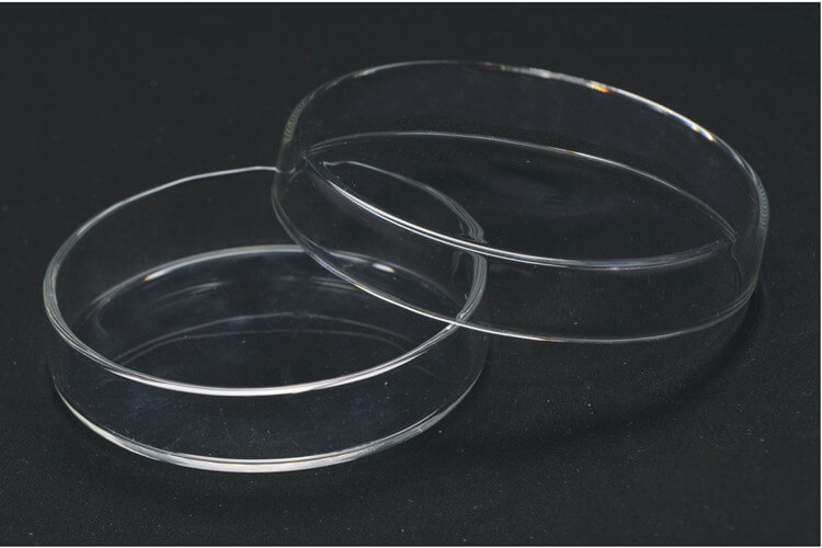 Glass Petri Dish
